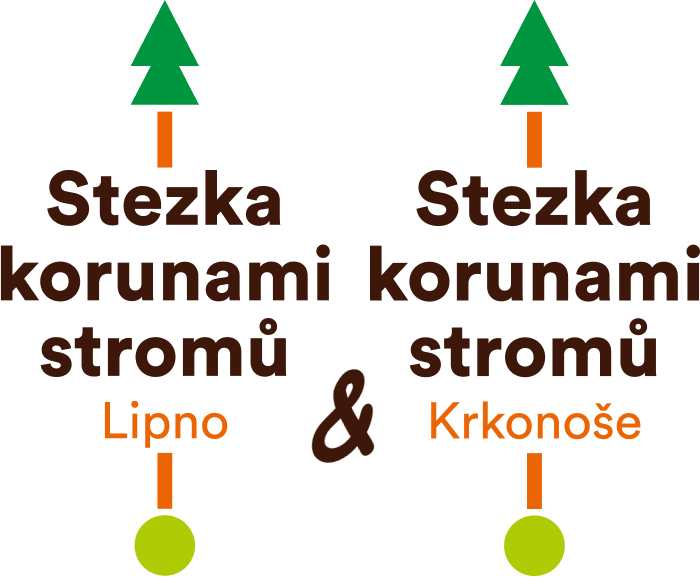 Prochzejte se nad korunami strom!