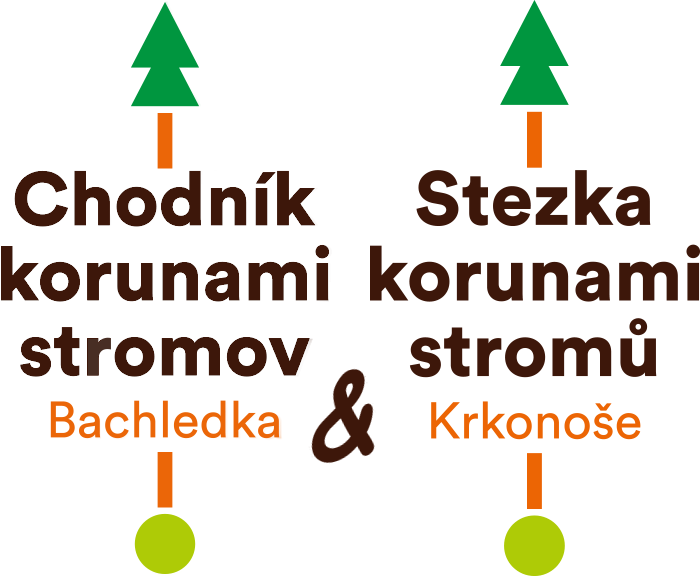 Prochzejte se nad korunami strom!
